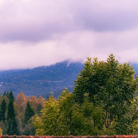 Monte Fabula With Jacuzzi, Sauna And Backyard Vucinic Selo